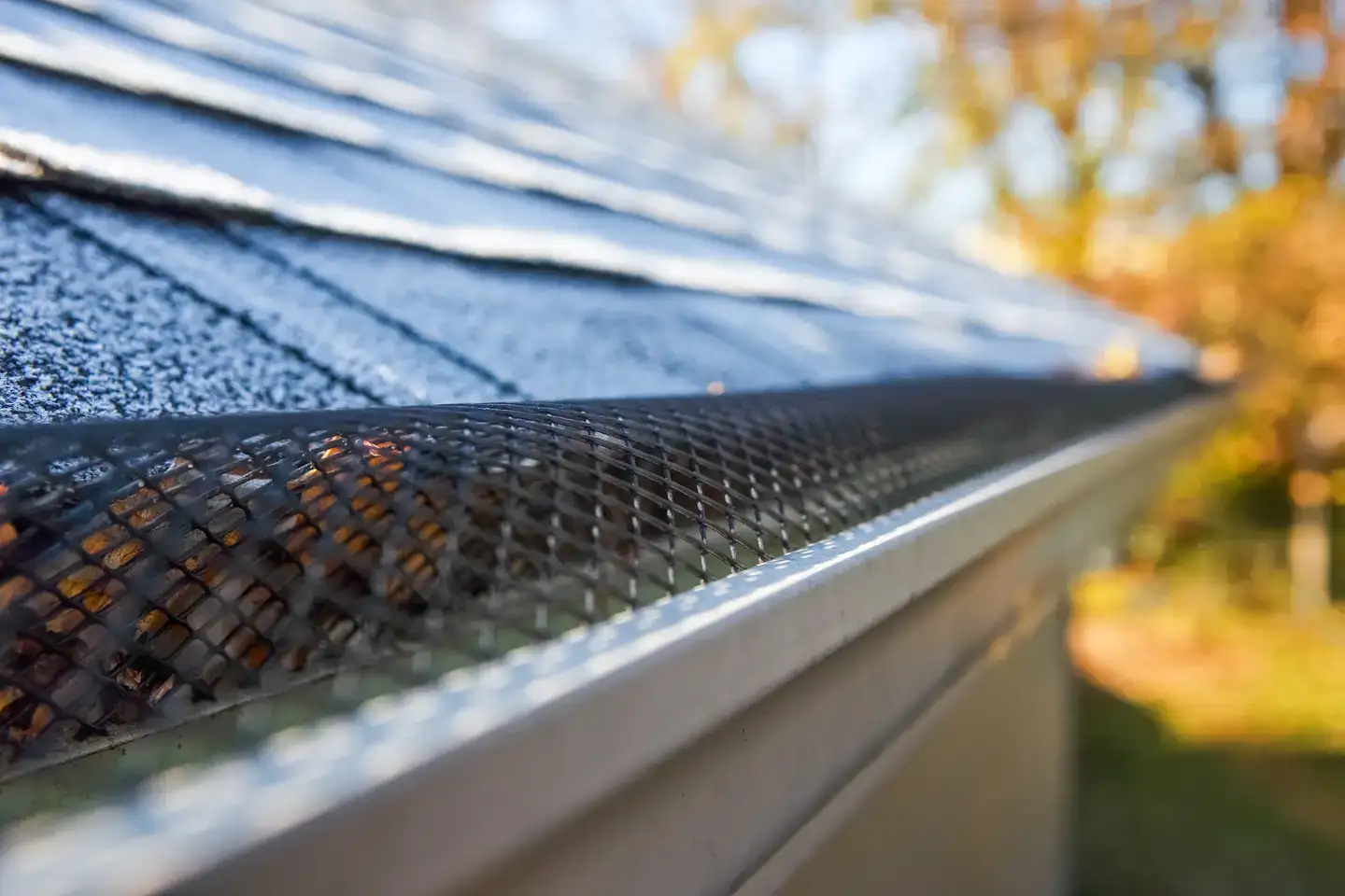 Micro-Mesh Gutters Installed On The Roof Of A House.