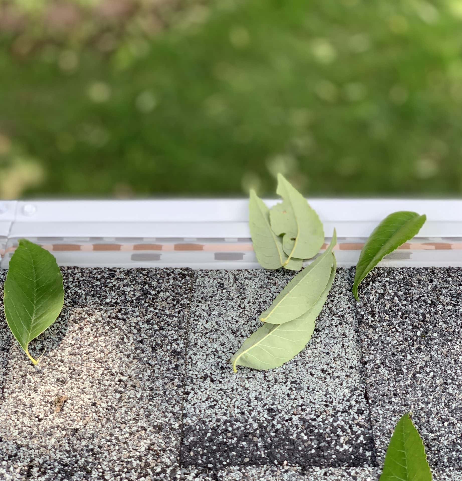 Ultimate Gutter Protection Leafless In Seattle Gutter Guards Bothell, Wa