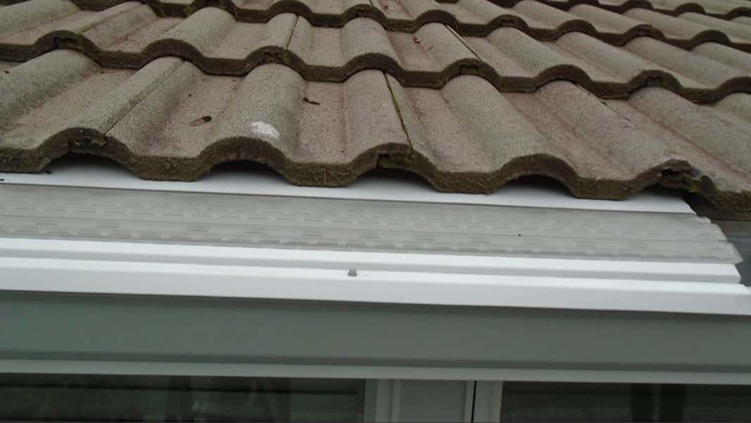 Protected Seamless Gutters Sammamish Wa Leafless In Seattle