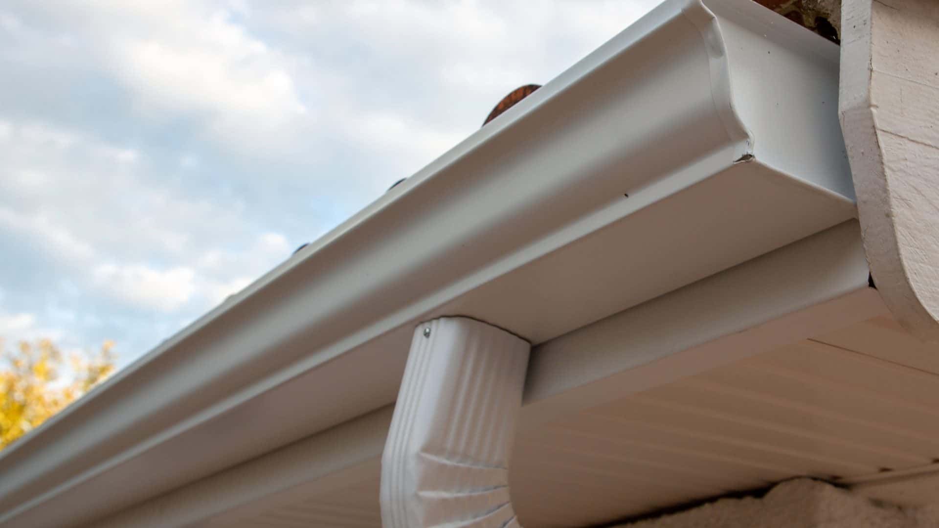 White Gutters Sammamish Wa Leafless In Seattle